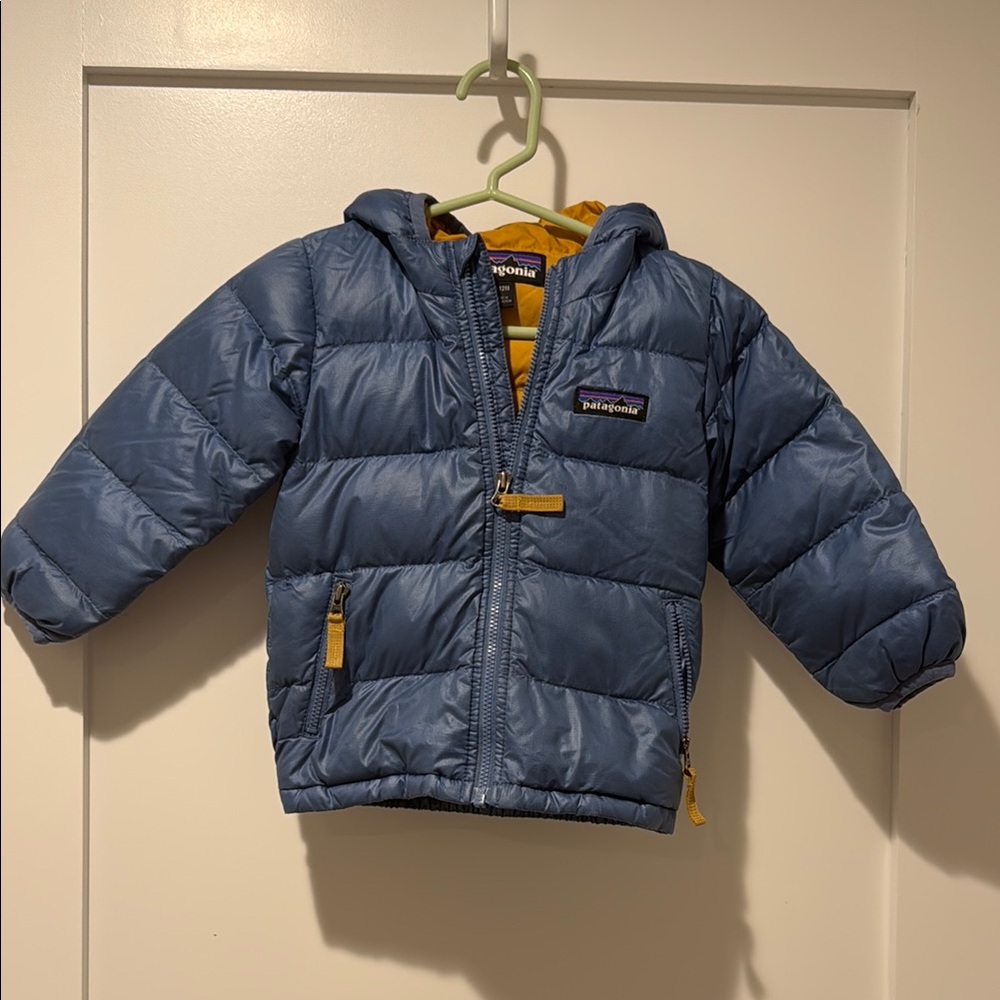 Patagonia Blue Puffer Jacket